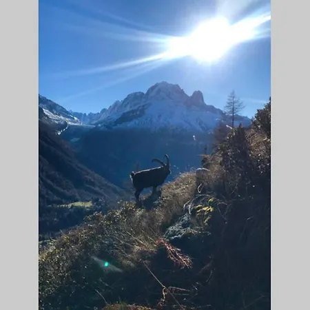 Apartment Le Mazot D'argentiere Chamonix